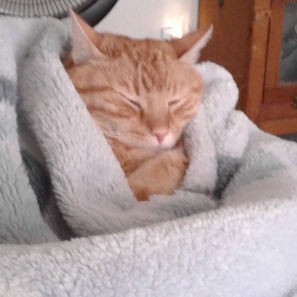 Welcome to my closet! - Picture 4 of 4